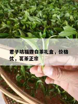 君子坊福鼎白茶礼盒，价格优，茗茶正宗