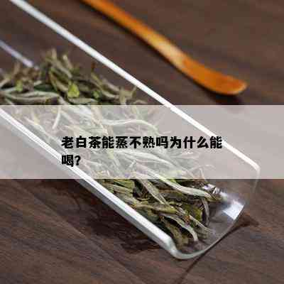 老白茶能蒸不熟吗为什么能喝？