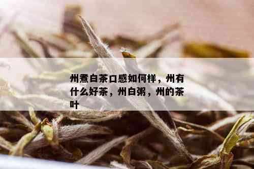 州煮白茶口感如何样，州有什么好茶，州白粥，州的茶叶