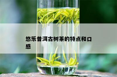 悠乐普洱古树茶的特点和口感