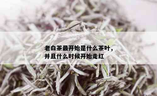 老白茶最开始是什么茶叶，并且什么时候开始走红