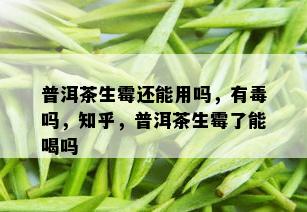 普洱茶生霉还能用吗，有吗，知乎，普洱茶生霉了能喝吗