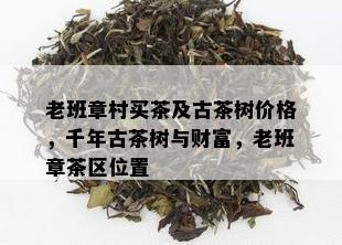 老班章村买茶及古茶树价格，千年古茶树与财富，老班章茶区位置