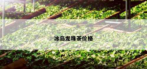 冰岛龙珠茶价格