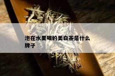 泡在水里喝的美白茶是什么牌子