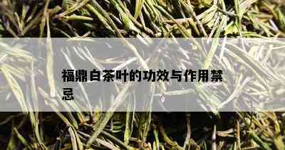 福鼎白茶叶的功效与作用禁忌