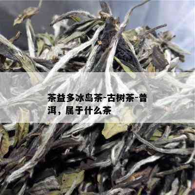 茶益多冰岛茶-古树茶-普洱，属于什么茶