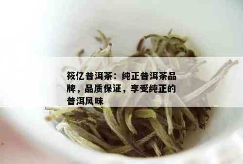 筱亿普洱茶：纯正普洱茶品牌，品质保证，享受纯正的普洱风味