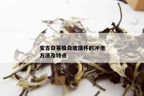 安吉白茶极白玻璃杯的冲泡方法及特点