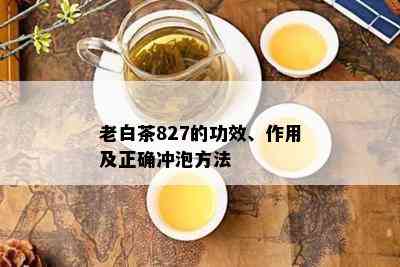 老白茶827的功效、作用及正确冲泡方法