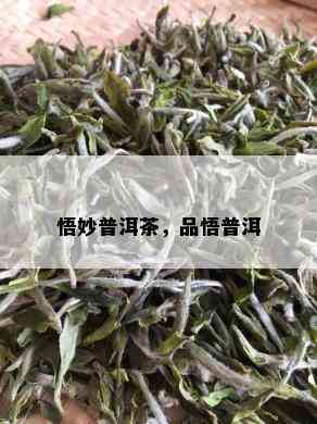 悟妙普洱茶，品悟普洱