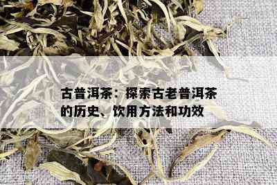 古普洱茶：探索古老普洱茶的历史、饮用方法和功效