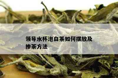 领导水杯泡白茶如何摆放及掺茶方法