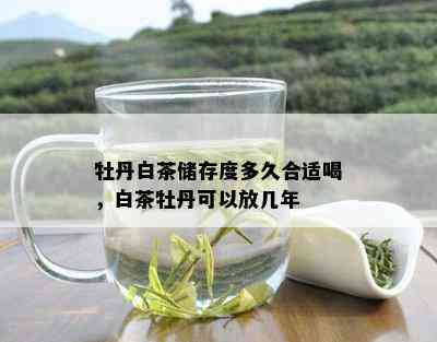 牡丹白茶储存度多久合适喝，白茶牡丹可以放几年