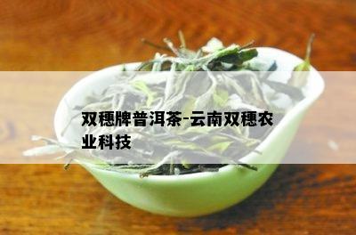 双穗牌普洱茶-云南双穗农业科技