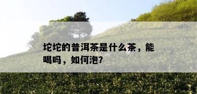 坨坨的普洱茶是什么茶，能喝吗，如何泡？