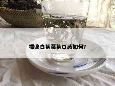 福鼎白茶菜茶口感如何？