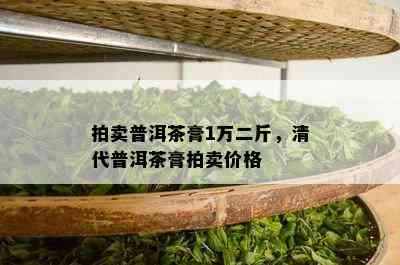 拍卖普洱茶膏1万二斤，清代普洱茶膏拍卖价格