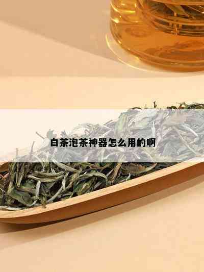 白茶泡茶神器怎么用的啊