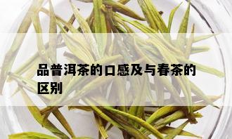 品普洱茶的口感及与春茶的区别