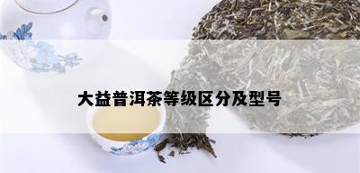 大益普洱茶等级区分及型号