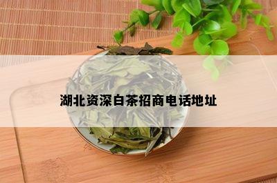 湖北资深白茶招商电话地址