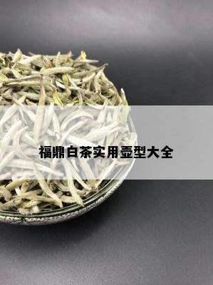 福鼎白茶实用壶型大全