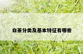 白茶分类及基本特征有哪些