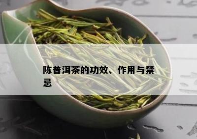 陈普洱茶的功效、作用与禁忌