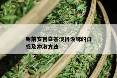 明前安吉白茶淡得没味的口感及冲泡方法