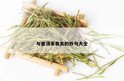 与普洱茶有关的妙句大全