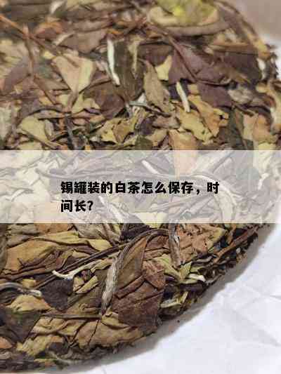 锡罐装的白茶怎么保存，时间长？