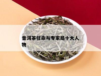 普洱茶任命与专家局十大人物