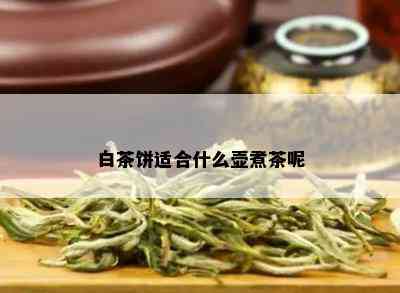 白茶饼适合什么壶煮茶呢