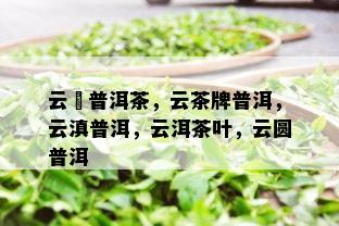 云卬普洱茶，云茶牌普洱，云滇普洱，云洱茶叶，云圆普洱