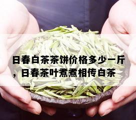 日春白茶茶饼价格多少一斤，日春茶叶煮煮相传白茶