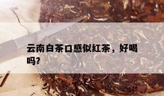 云南白茶口感似红茶，好喝吗？