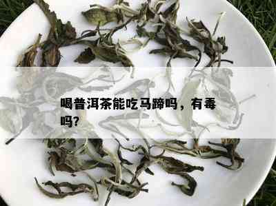 喝普洱茶能吃马蹄吗，有吗？