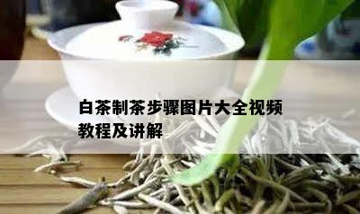 白茶制茶步骤图片大全视频教程及讲解