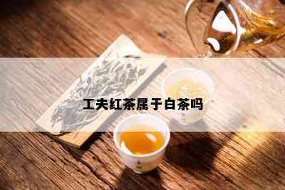 工夫红茶属于白茶吗