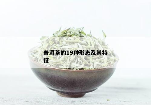 普洱茶的19种形态及其特征