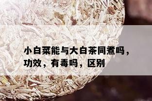 小白菜能与大白茶同煮吗，功效，有吗，区别