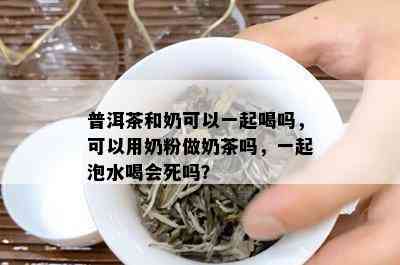 普洱茶和奶可以一起喝吗，可以用奶粉做奶茶吗，一起泡水喝会死吗？