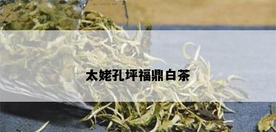 太姥孔坪福鼎白茶