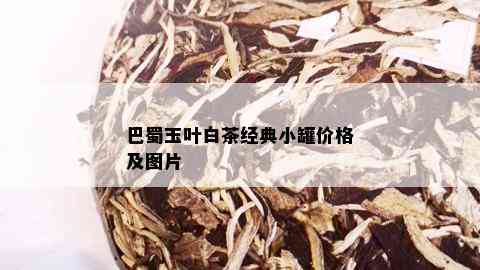 巴蜀玉叶白茶经典小罐价格及图片