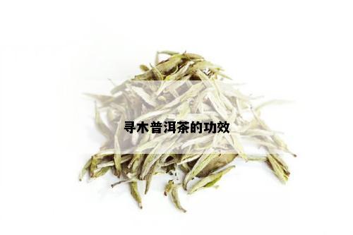 寻木普洱茶的功效