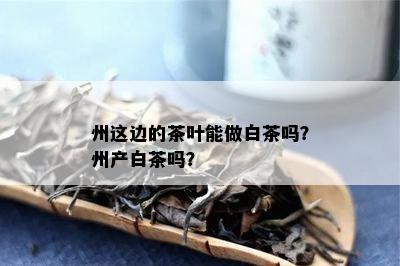 州这边的茶叶能做白茶吗？州产白茶吗？