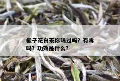 栀子花白茶你喝过吗？有吗？功效是什么？