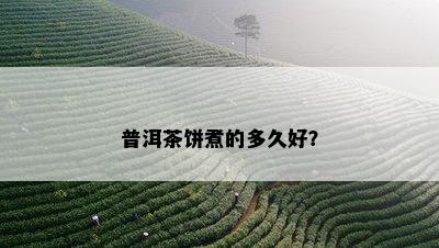 普洱茶饼煮的多久好？