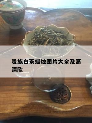 贵族白茶蜡烛图片大全及高清欣